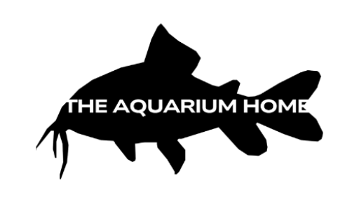 The Aquarium Home